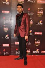 Sandip Soparkar at Screen Awards red carpet in Mumbai on 12th Jan 2013 (348).JPG